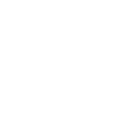 concerts and festivals